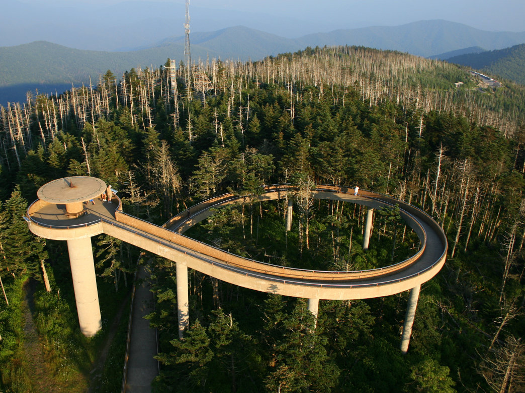 Clingman's dome