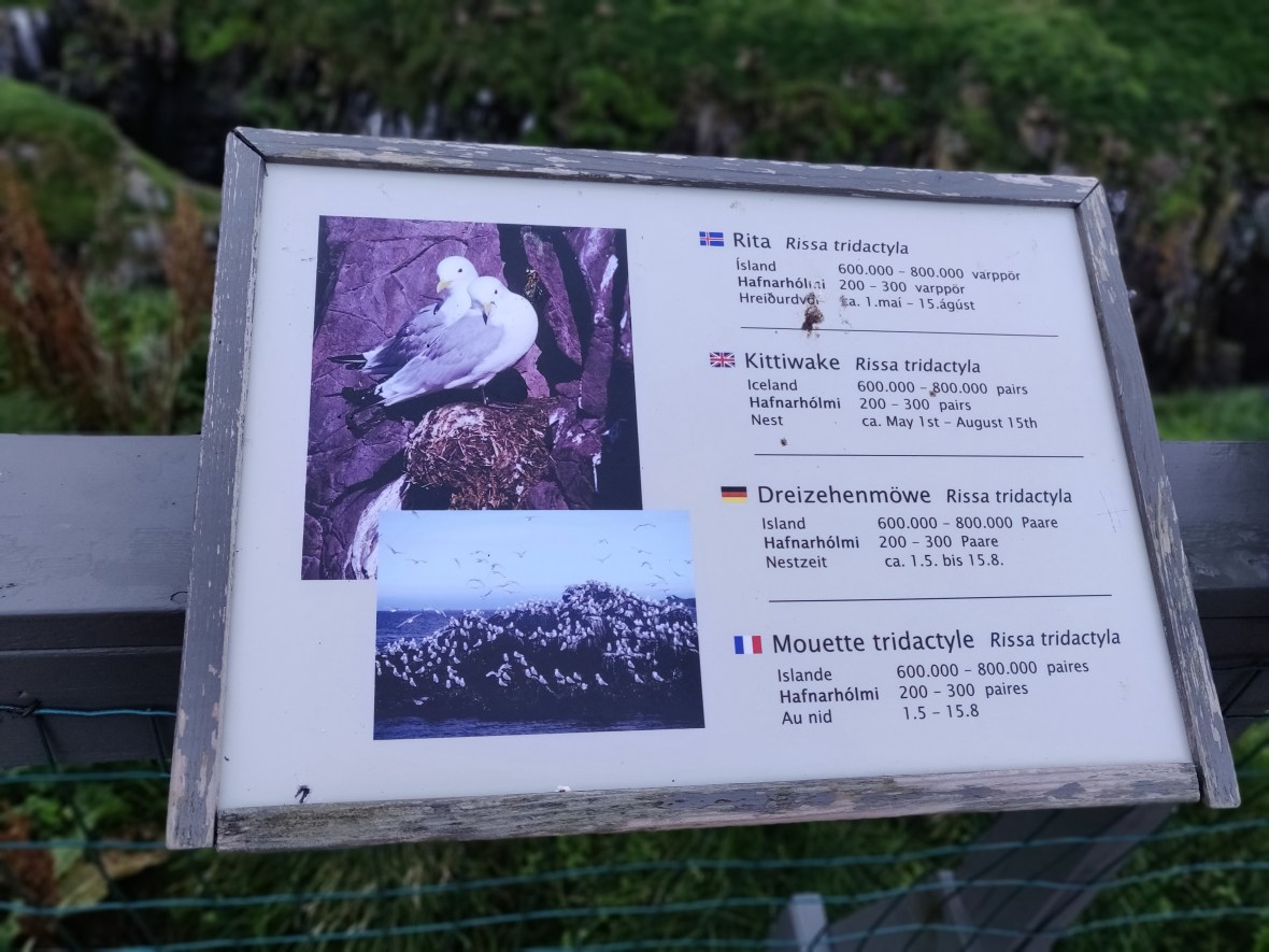 IMG_20180912_185349_Bokeh