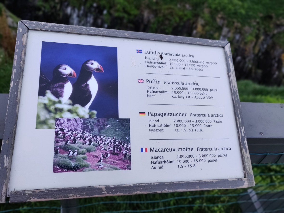 IMG_20180912_185353_Bokeh